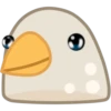 Pigeon 28