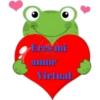 Varios animales 2 28