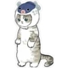 Gatitos hermosos 5 29