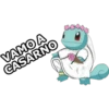 pokemon 29