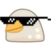 Pigeon 29