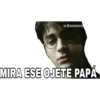 Harry Potter Bananero 25