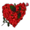 Rosas (Flores) 29