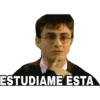 Harry Potter Bananero 28