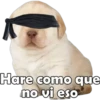 Hare como que no vi eso