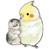 Gatitos hermosos 5 30