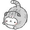 ^-^ Kawaii Rabbit 4 ^-^ 5