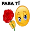 PARA TÍ
dreom/m