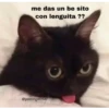 me das un be sito
con lenguita ??
@postingatitos