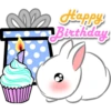 Pegatinas de Cumpleaños 9