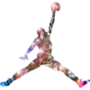 Michael Jordan 9