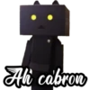 Danbo "Muñeco de carton" 14