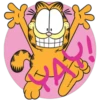 Garfield 2 7
