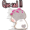 《⚜Hámster cute🎀🐿》 7