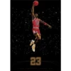 Michael Jordan 12