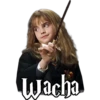 Wacha