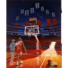 Michael Jordan 13