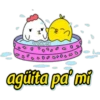 ➠ cute chickens babys 13