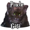 Pinche
Gata