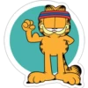 Garfield 2 13