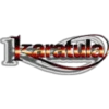 ROCKEROS MEXICANOS 18