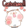 《⚜Hámster cute🎀🐿》 15