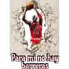 Michael Jordan 19