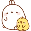 U