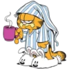 Garfield 2 20