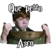 Que petto
Asco
SCO
