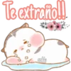 《⚜Hámster cute🎀🐿》 18