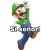 Si señor!