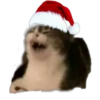 Memes Navideños  4 27