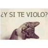 ¿Y SI TE VIOLO?