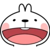 Spoiled Rabbit's Expressions 19