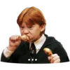 Harry Potter 27