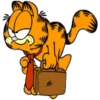 Garfield 2 30