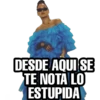 DESDE AQUI SE
TE NOTA LO
ESTUPIDA