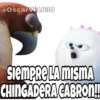 La Vida Secreta De Tus Mascotas (Part 2) 7