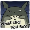 Totoro 7