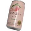 Comida japonesa 11