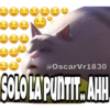 La Vida Secreta De Tus Mascotas (Part 2) 15