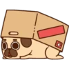 Doggy Food  nory 12