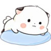 Cat cute 💙 13