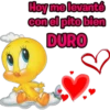 Hoy me levanté
con el pito bien
DURO