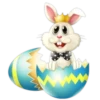 Easter bunny with eggs 6