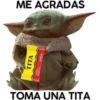 Baby Yoda en Argentina 17