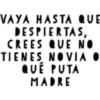 Novios 8 16