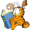 Garfield 15