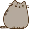Pusheen Expressions 16